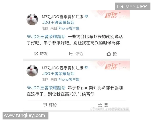 王者荣耀评论JDG边路渗透策略分析与成效评估 王者荣耀评论JDG边路渗透策略分析与成效评估