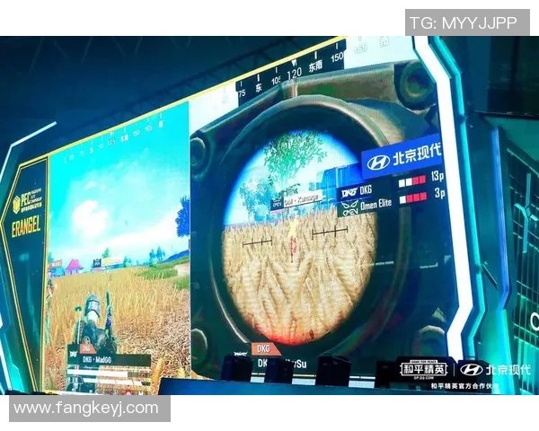 电竞实时数据与和平精英焦点WE灵活性分析及其影响探讨