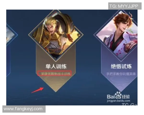 科学王者荣耀力量训练方法揭秘提升游戏实力的有效策略与技巧实时新闻